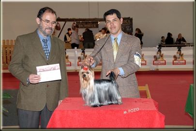 estugo's Dolce & gabanna