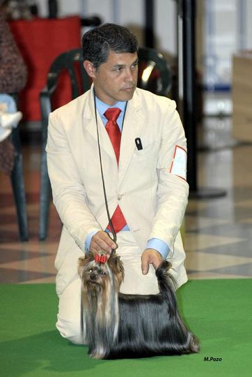 estugo's Dark shadow